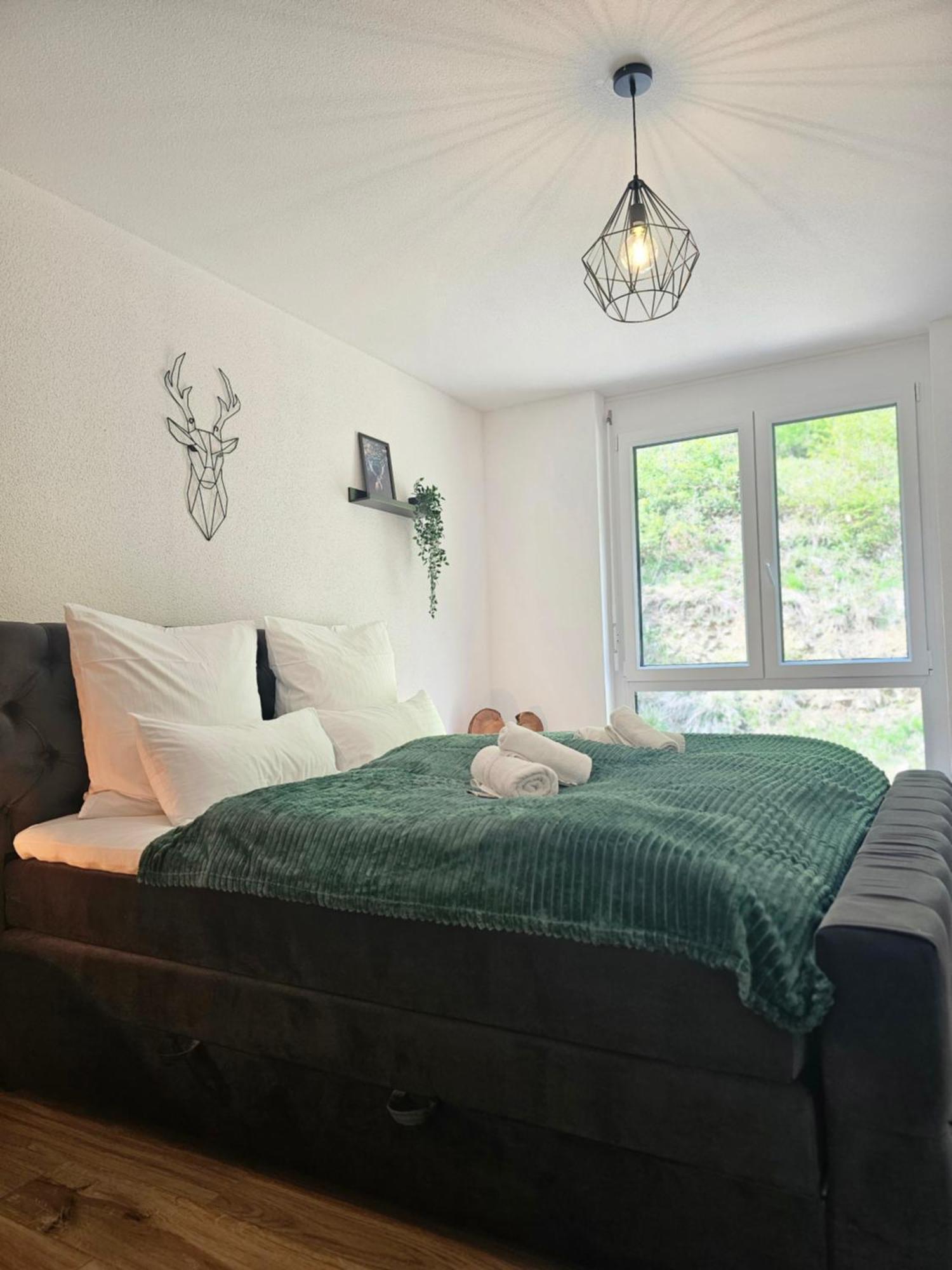 Black Forest II Sauna I Boxspring I Nespresso I Ausblick I Wasserfaelle Im Ort Todtnau Exterior photo